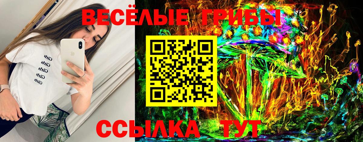 Псилоцибиновые грибы прущие грибы  Вход с VPN  Куйбышев 