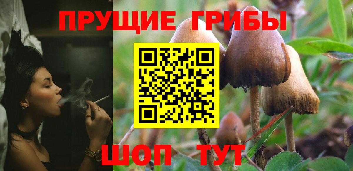Псилоцибиновые грибы Magic Shrooms Куйбышев